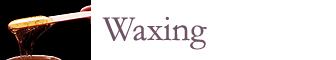 button for waxing services page 